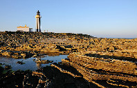 美国留学佩斯大学强势专业介绍