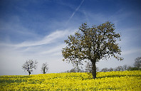 美国留学哥伦比亚大学优势专业介绍（下）