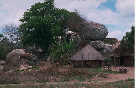 美国留学佐治亚理工学院优势专业介绍（下）