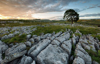 美国留学福特汉姆大学优势专业介绍（下）