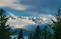 美国留学曼哈顿大学本科专业介绍