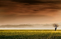 美国留学商科专业院校介绍