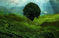 美国留学MBA专业需要重视哪些问题?