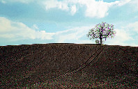 美国留学密歇里根大学优势专业介绍(下)