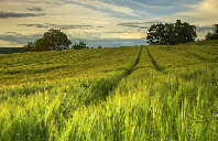 美国留学热门专业盘点（上）