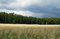 美国申请留学金融专业要求介绍