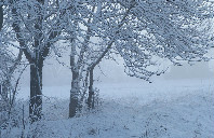 美国留学里德学院本科专业介绍