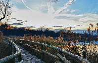 澳洲留学会计硕士哪个院校比较好？