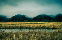 澳洲留学硕士选专业需要注意的事项