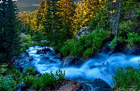 澳洲留学格里菲斯大学公共健康专业介绍（上）