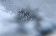 澳洲留学弗林德斯大学的商科又是介绍