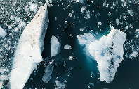 澳洲留学工程专业详细介绍