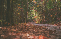 新西兰留学英语专业介绍