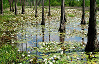 新西兰留学护理专业留学情况介绍（下）