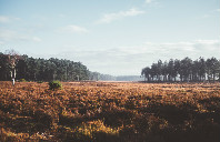 新西兰留学护理专业申请院校介绍（上）