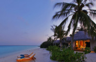 新西兰留学奥克兰大学理学院讲解（下）