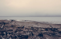 新西兰留学专业指南（中）