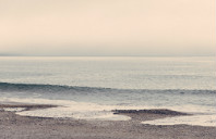 新西兰留学旅游专业介绍（下）