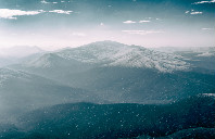 新西兰留学有哪些本科专业可选？（下）