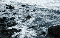 新西兰留学移民热门专业及院校介绍