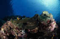 新西兰留学热门专业介绍（下）