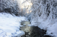 新西兰留学护理专业TOP院校介绍（上）