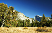 新西兰留学奥克兰理工大学都有那些专业？（下）