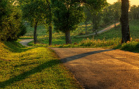 新西兰留学幼教专业介绍