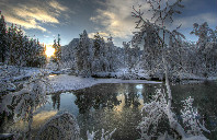 新西兰留学园艺专业如何？