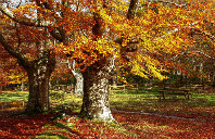 新西兰留学申请名校条件介绍（下）
