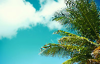 英国留学法律专业介绍（上）