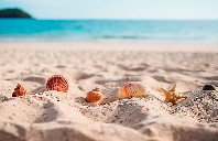 英国留学翻译类专业详细介绍(上)