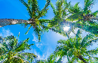 英国留学人文专业介绍（下）