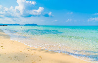 英国留学文科专业都有哪些？（上）