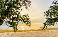 英国留学艺术设计专业讲解(上)