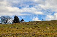 英国留学亚伯大学专业介绍