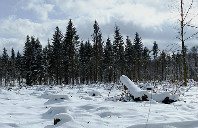 英国留学专业挑选指南