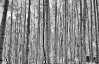 英国留学商科可以选择哪些学校?