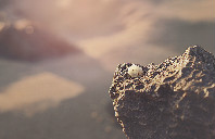 英国留学留学戏剧专业申请条件及前景介绍