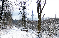 英国留学语言类专业有什么申请技巧？