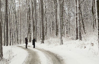 英国留学转专业讲解