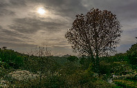 英国留学埃塞克斯大学商学院课程介绍