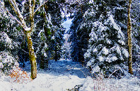 英国留学华威大学土木工程专业要求介绍(上)