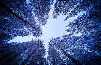 英国留学插画专业可以选择哪些大学?