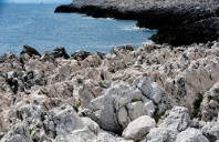 英国留学商科优势介绍