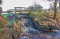 英国留学商科有哪几大类?