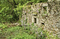 英国留学预科选择什么专业?(下)