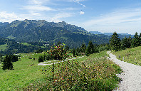 美国留学本科院校专业推荐