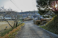 美国留学TOP5专业信息(下)