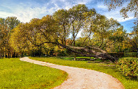 美国留学心理专业都有哪些优势院校?(上)